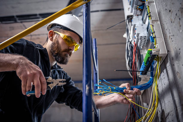Best Electric Panel Repair  in Decordova, TX
